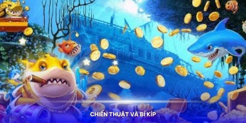 Chiến thuật và bí kíp để thu hoạch cá vàng thành công